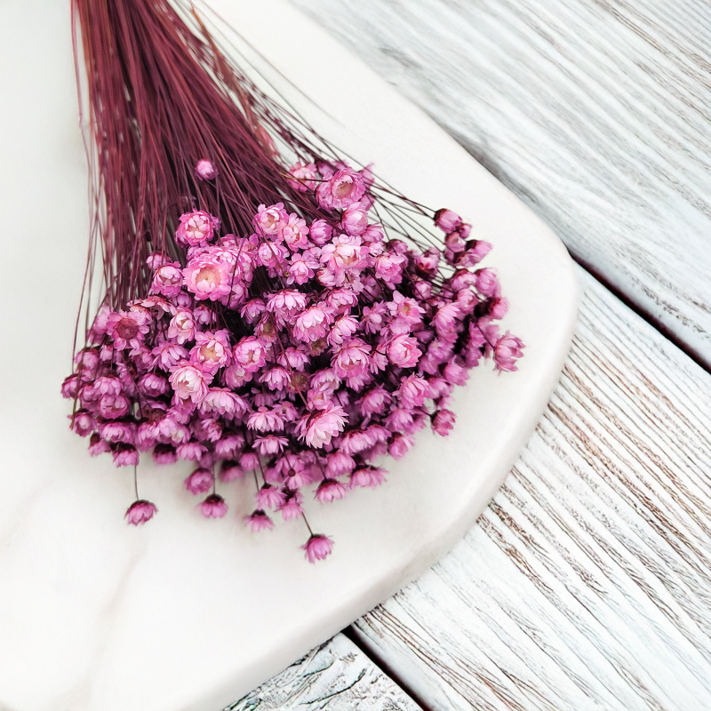 Glixia Różowa gliksja suszona kwiaty suszone bukiet 50g_86 4.png