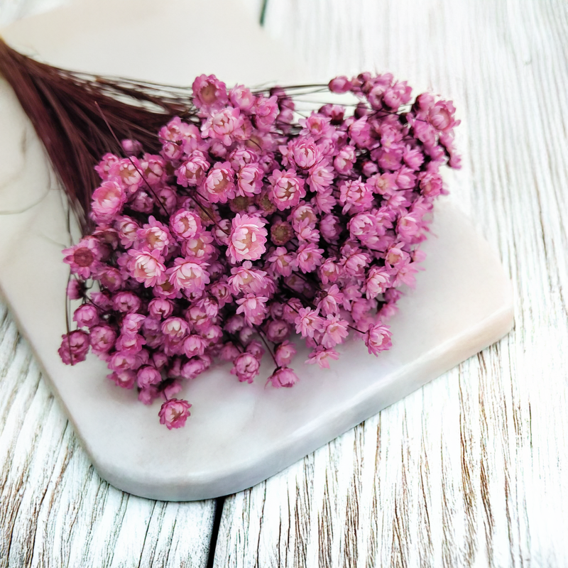 Glixia Różowa gliksja suszona kwiaty suszone bukiet 50g_86 2.png