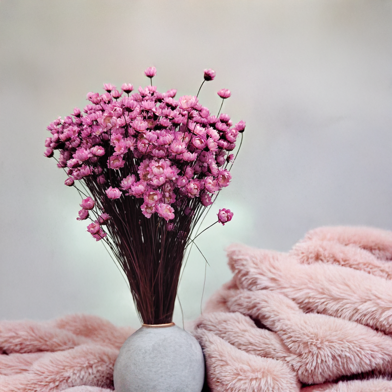 Glixia Różowa gliksja suszona kwiaty suszone bukiet 50g_86.png