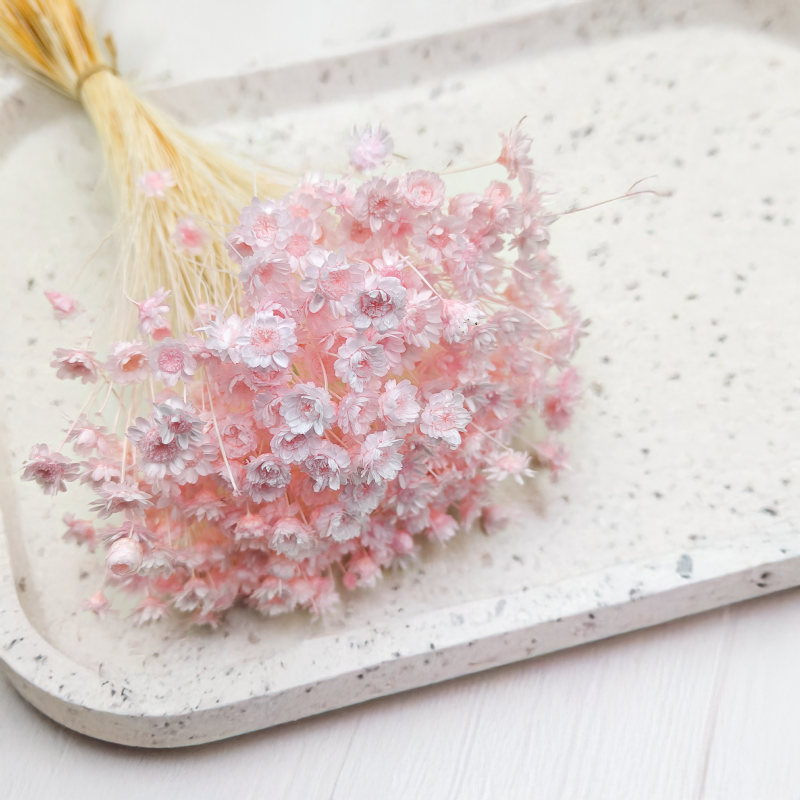 Glixia Jasnoróżowa gliksja suszona kwiaty suszone bukiet 50g_40 3.png