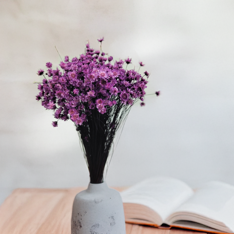 Glixia Lawendowa gliksja suszona kwiaty suszone bukiet 50g_80.png