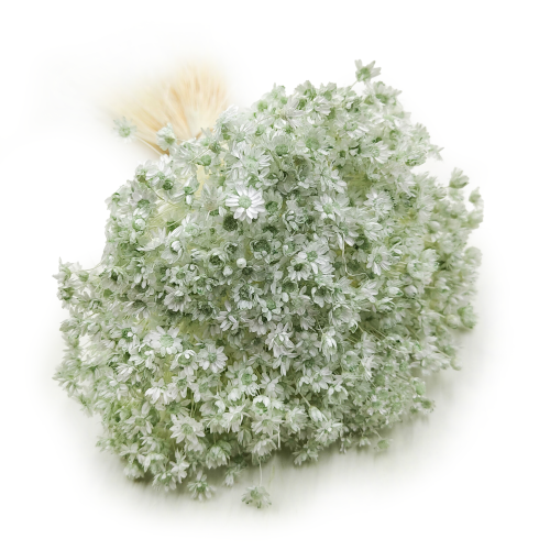 Glixia Miętowa gliksja suszona kwiaty suszone bukiet 50g_F60 4.png