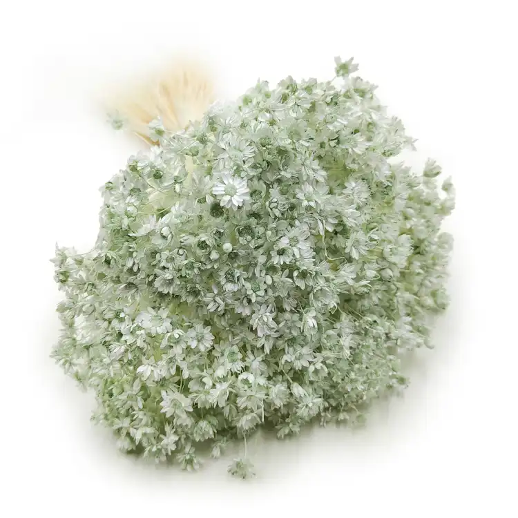 Glixia Miętowa gliksja suszona kwiaty suszone bukiet 50g_F60 4.png