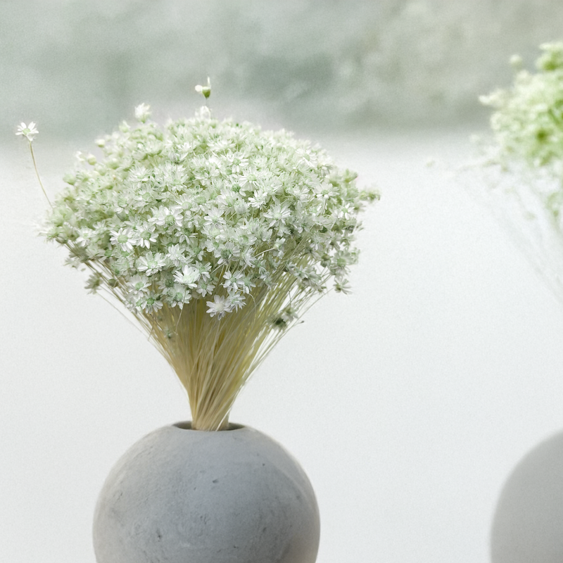 Glixia Miętowa gliksja suszona kwiaty suszone bukiet 50g_F60.png