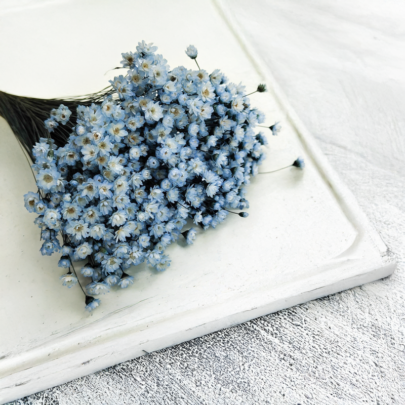Glixia Niebieska gliksja suszona kwiaty suszone bukiet 50g_78 1.png