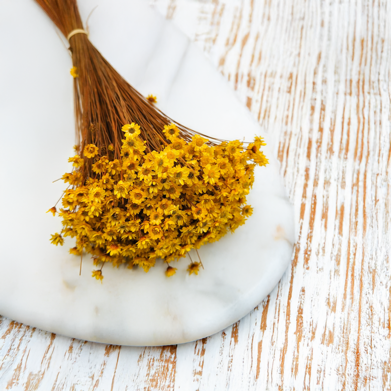 Glixia Żółta gliksja suszona kwiaty suszone bukiet 50g_12 3.png