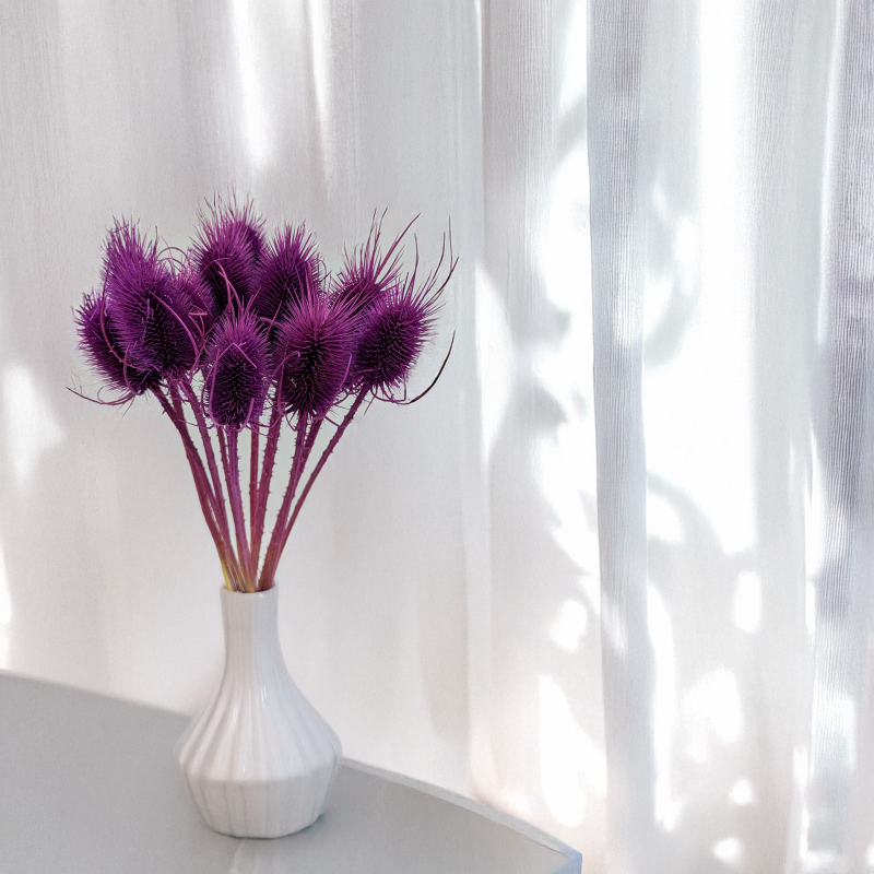 Oset fioletowy 5.png