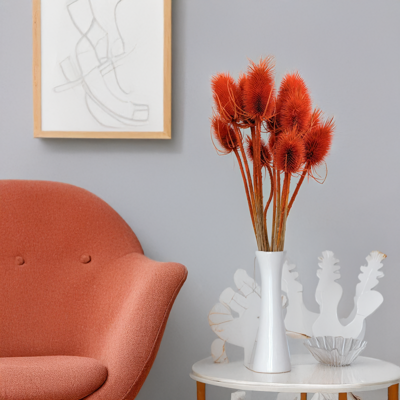 Oset pomarańczowy 5.png