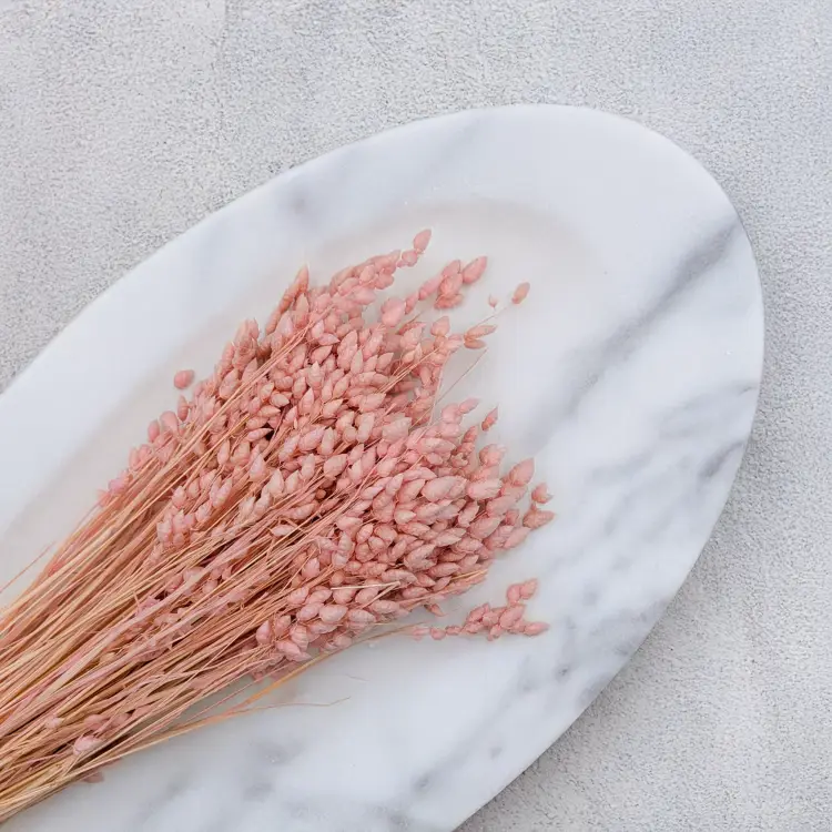 Briza Maxima różowa 2.png