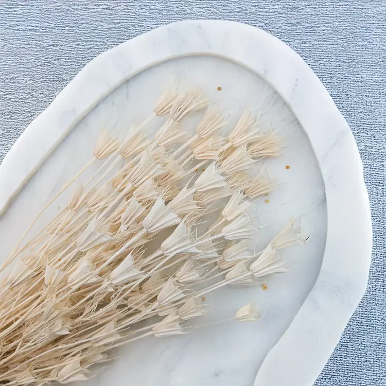 Nigella Biała 2.png