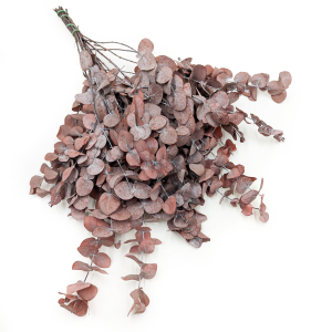 Stabilisiertes Eukalyptus - Cinerea - Rot