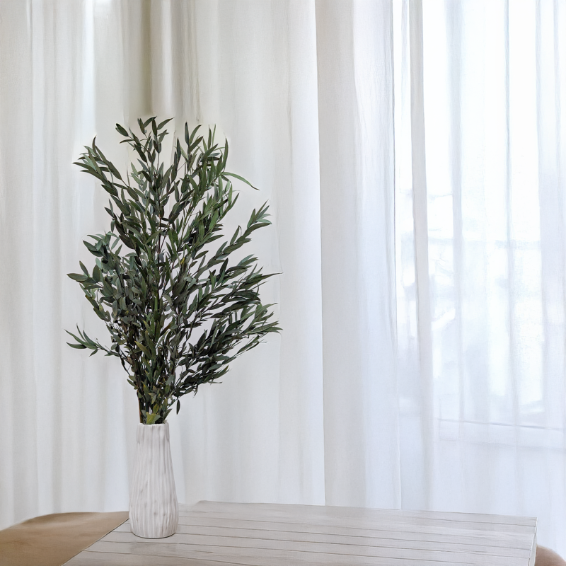 Eukaliptus Nicoly zielony 5.png