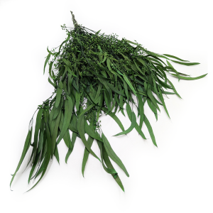 Stabilisiertes Eukalyptus - Willow - Grün