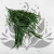 Eukaliptus Willow.png