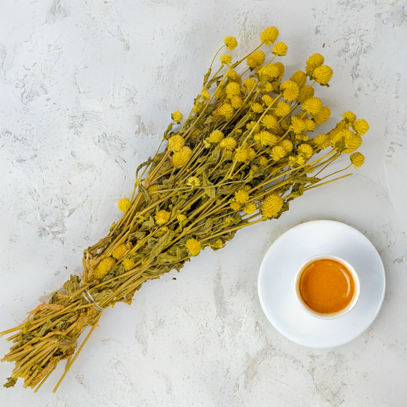 Gomphrena żółta 2.png