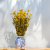 Gomphrena żółta 3.png
