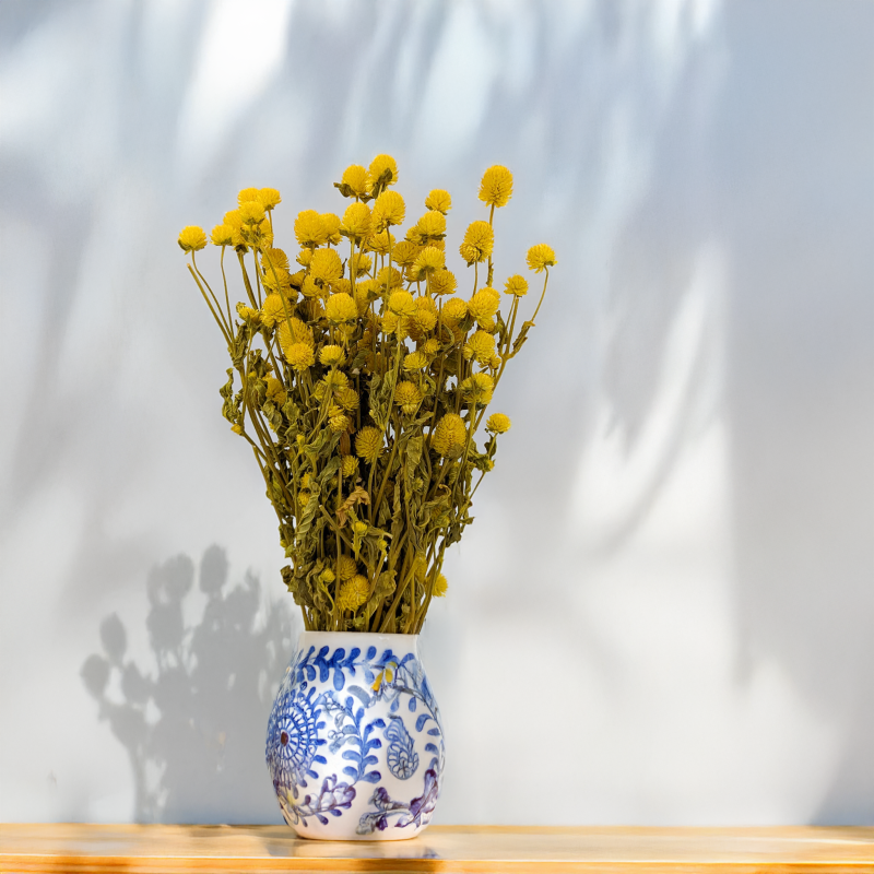 Gomphrena żółta 3.png