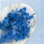 Lunaria IT niebieska 2.png