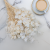 Lunaria IT bielona 1.png