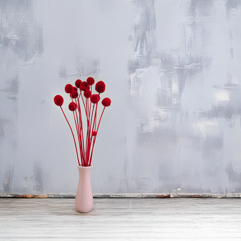 Craspedia czerwona 4.png