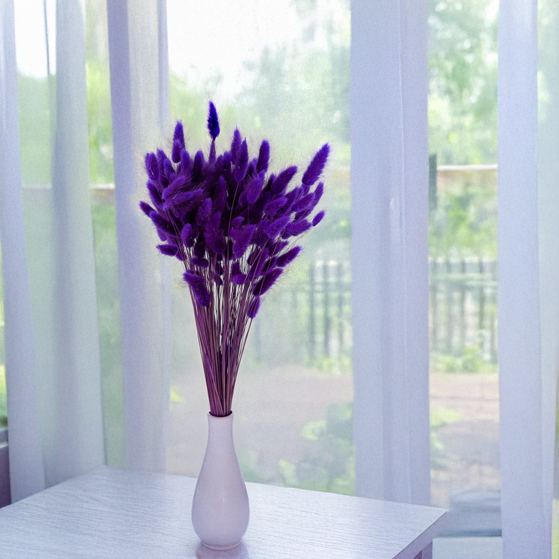 Lagurus fioletowy 4.png