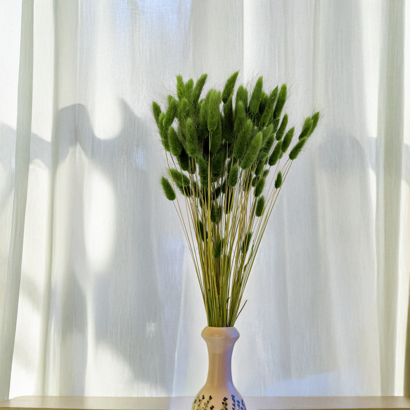 Lagurus ciemna zieleń 3.png