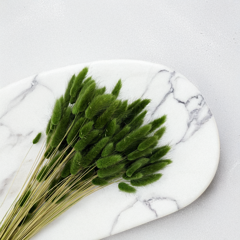 Lagurus ciemna zieleń 2.png