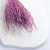 Lepidium Fioletowe Suszone 2.png