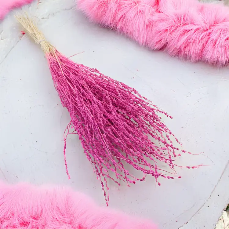Lepidium Fuksja Suszone 4.png