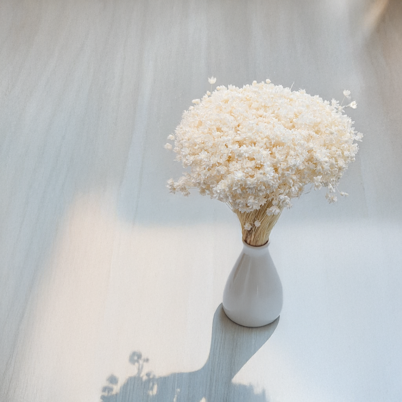 Glixia Marcela bielona 3.png