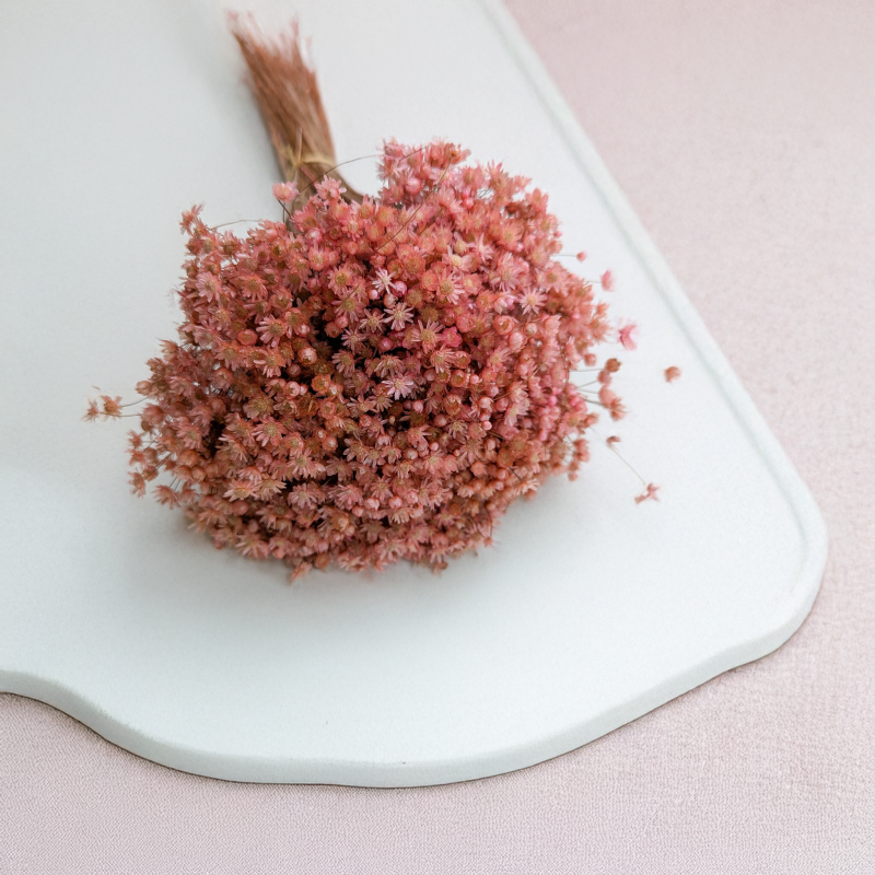 Glixia Marcela różowa 2.png