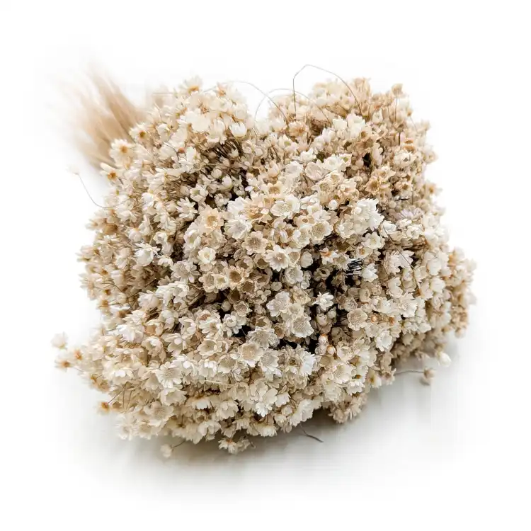 Glixia Marcela Naturalna (1).png