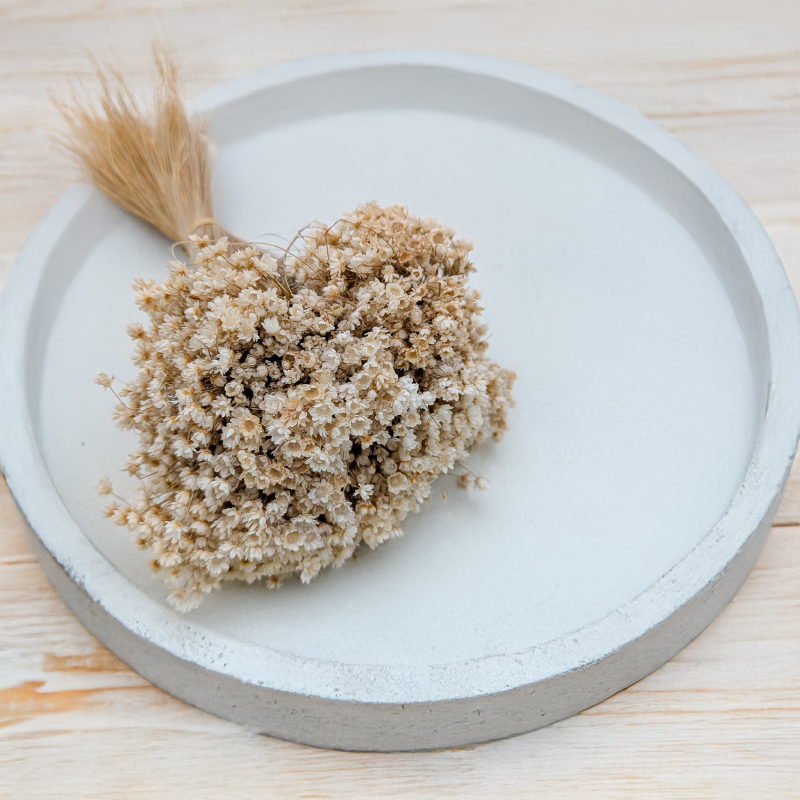 Glixia Marcela naturalna.png