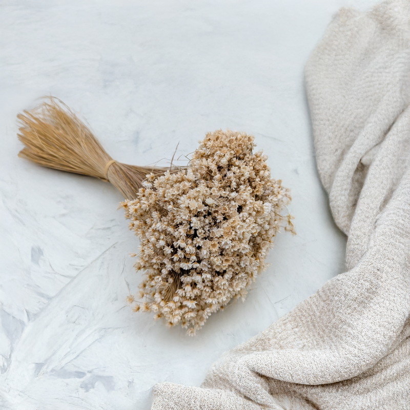 Glixia Marcela naturalna 2.png