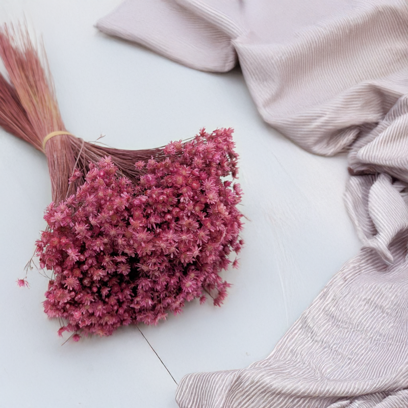 Glixia Marcela fuksja 3.png