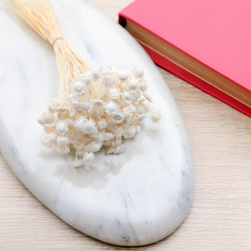 Glixia comanthera big bielona 5.png