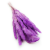 Mini pampas Fioletowy 3.png
