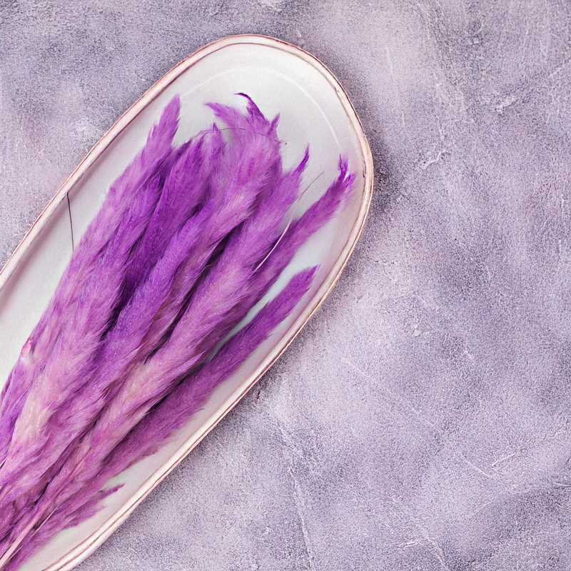 Mini pampas Fioletowy 1.png