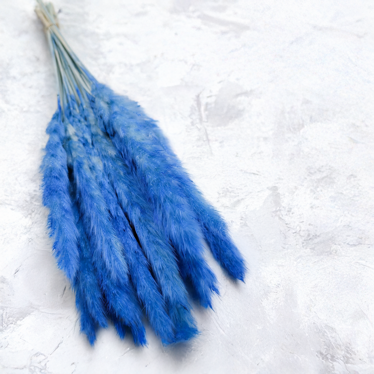 Mini pampas Niebieski 5.png