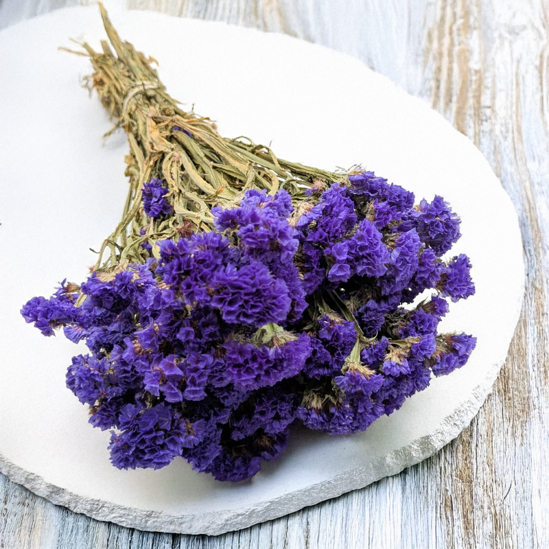 Zatrwian Fioletowy Suszony 5.png