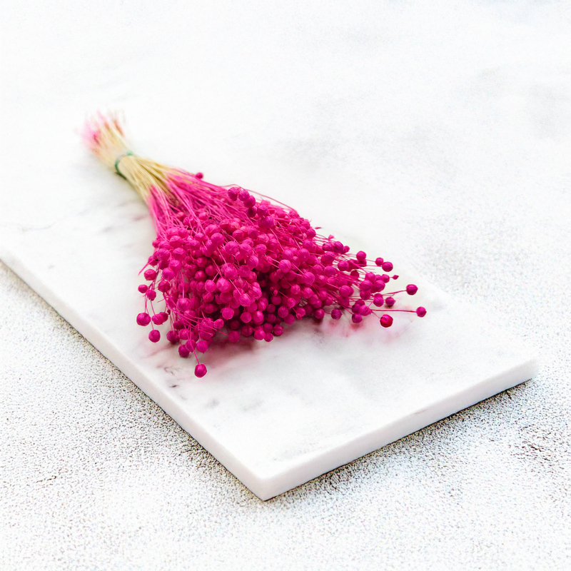 Len Suszony Fuksja 7.png