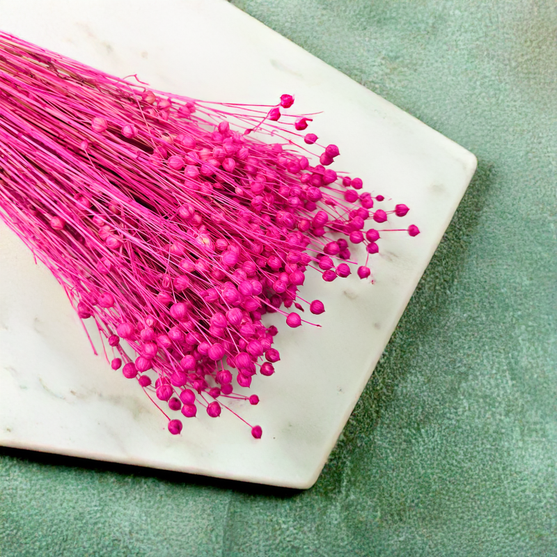 Len Suszony Fuksja 4.png