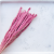 Mini pampas Wrzosowy 2 (1).png