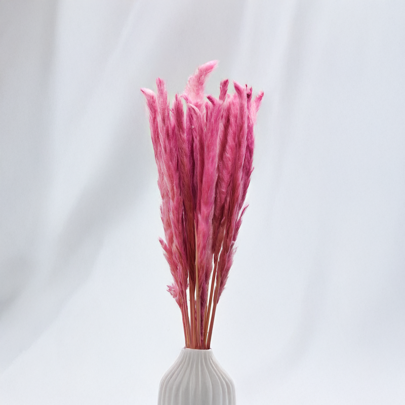 Mini pampas Wrzosowy.png