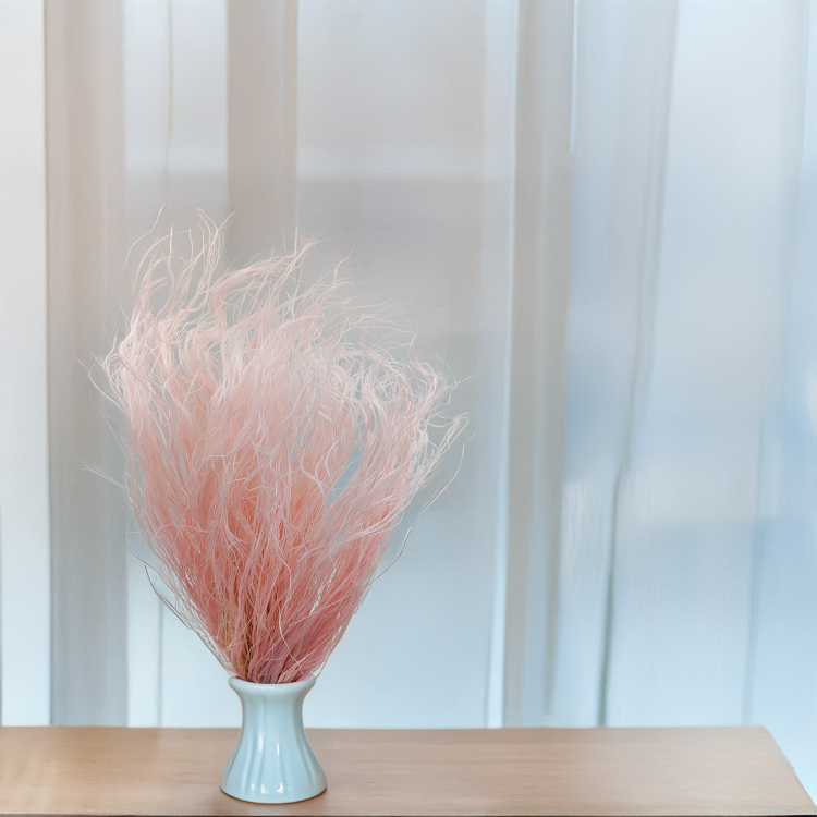 Stipa różowa 4.png