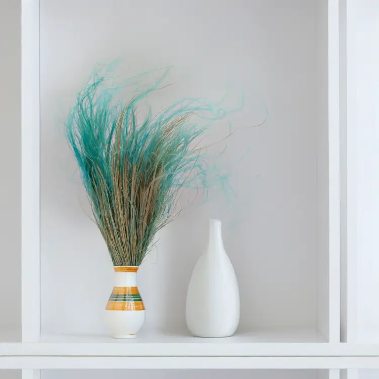 Stipa miętowa 4.png