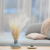 Stipa bielona 4.png