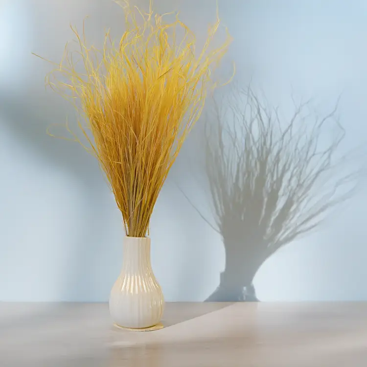 Stipa imbirowa 4.png