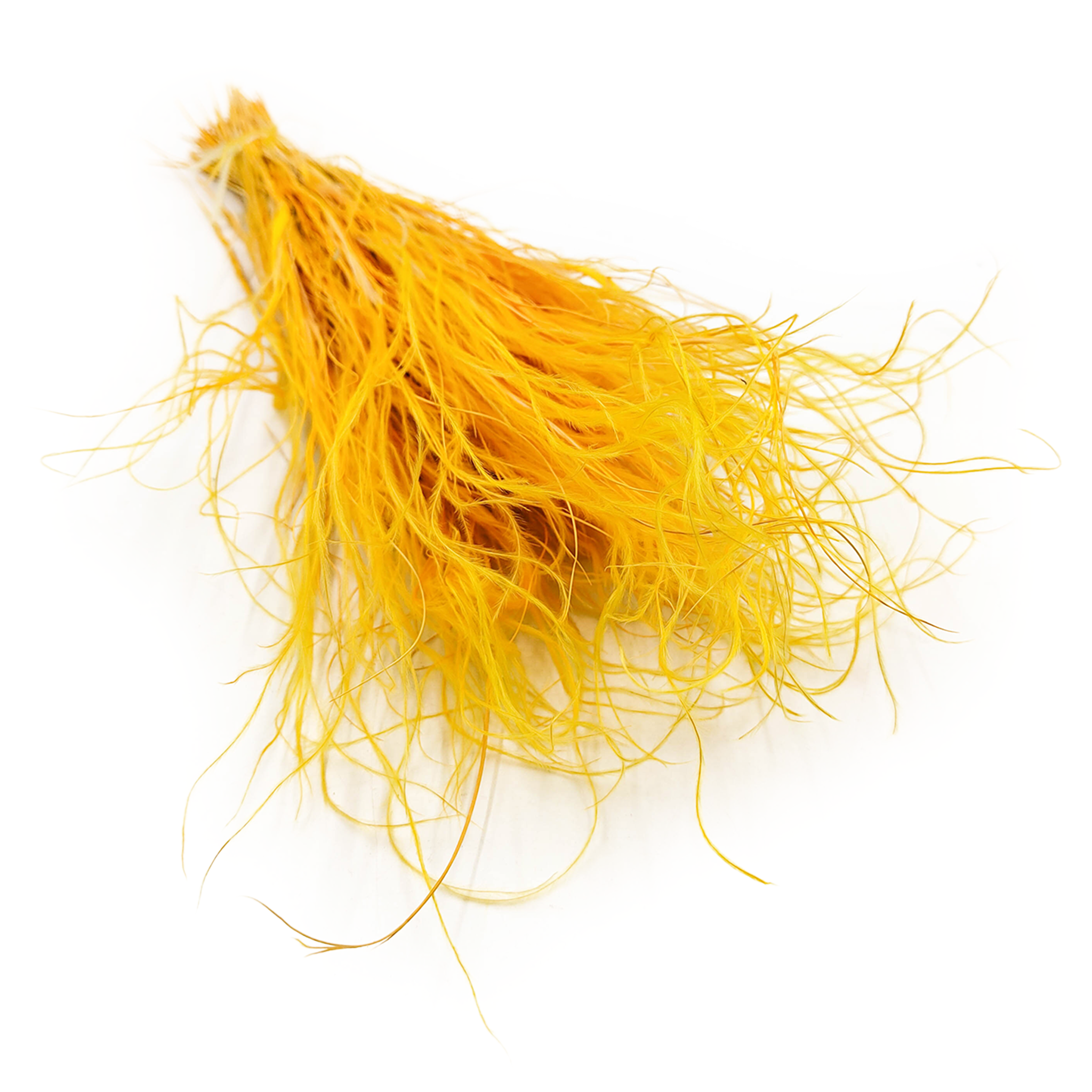 Federgras Getrocknete - (Stipa pennata) - Ingwer