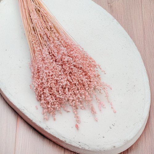 Briza minima Różowa 2.png